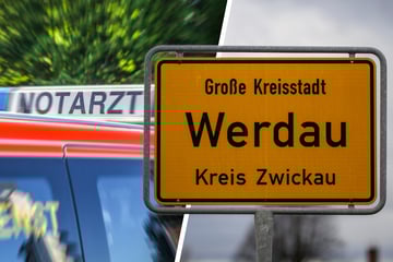 E-Biker hatte Hund im Rucksack: Vierbeiner stirbt bei Kreuzungs-Crash