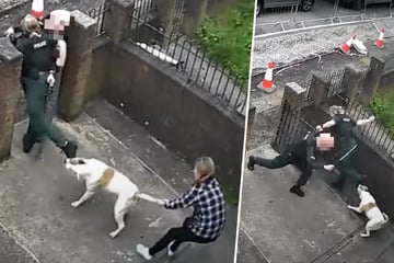 Schock! Hund verbeißt sich in Fuß einer Polizistin - Tier kassiert Prügel