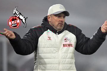Vor Duell mit dem BVB: Plötzlich spricht Köln-Trainer Kwasniok von Rücktritt