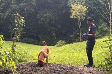 Nach Leichenfund in Costa Rica: Deutsche Behörden starten Ermittlungen