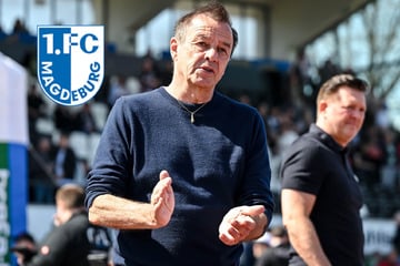 Spannende Aussagen: So lange war dem 1. FC Magdeburg bereits klar, dass Titz gehen will