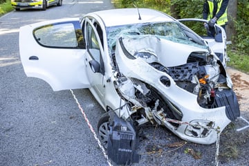 Citroën-Fahrer kracht gegen Baum und stirbt! Polizei sucht Zeugen