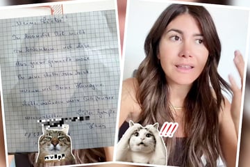 Ex-Bachelor-Babe Stephie schockiert: Nachbar (80) möchte Telefon-Sex mit ihr