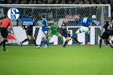 Erst Blitz-Start, dann Standard-Schwäche: Prevljak rettet Hertha auf Schalke