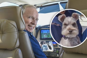 Fluglehrer des Jahres und Ehefrau stürzen ab, beide sterben: Wunder lässt Hund überleben