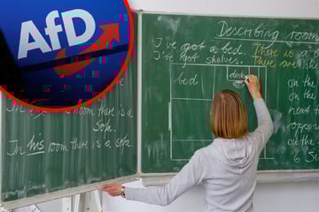 Zensur im Klassenzimmer? AfD will Lehrern politische Aussagen verbieten