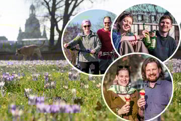 Dresden: Frühling im Februar: So schön ist Dresden ins sonnige Wochenende gestartet