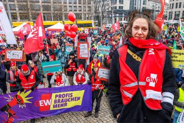 Dresdner Lehrer haben genug: "Integration geht komplett schief"