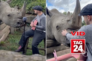 Viral Video of the Day for October 19, 2025: Man serenades rhino with sweet performance