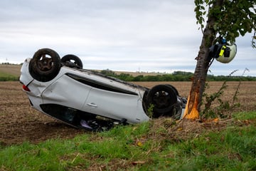 Auto kracht gegen Baum und überschlägt sich