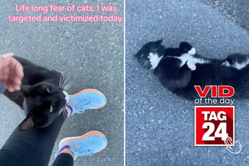 Viral Video of the Day for April 10, 2024: Girl's lifelong fear of cats gets even worse: "It bit me!"