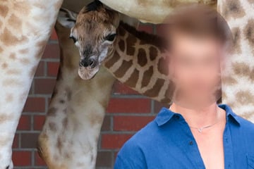 Namens-Überraschung im Tierpark: Giraffenjunge heißt wie dieses berühmte Model
