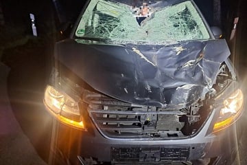 Mutter und Tochter prallen mit Seat gegen Pferd: Tier schleudert über das Auto und stirbt