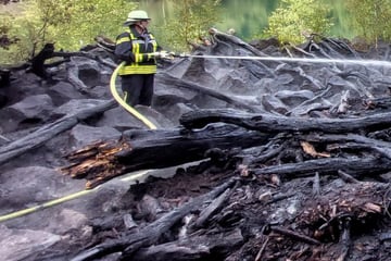 Erneuter Brand in Naturschutzgebiet: Hitzewelle oder Fehlverhalten?