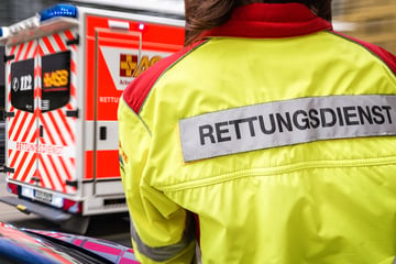 Renault erfasst Fußgängerin: Frau lebensgefährlich verletzt, ihr Hund wird vermisst