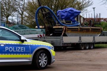 Neuer Rettungsversuch für gestrandeten Buckelwal? Amphibienfahrzeug eingetroffen