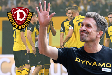 So leitete Dynamo-Trainer Stamm gegen Cottbus die Wende ein!