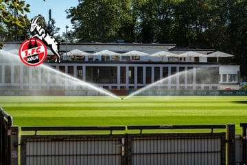 Streit um das Geißbockheim des 1. FC Köln: OVG weist alle Klagen ab