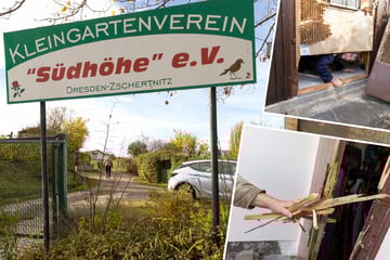 Dresden: Rowdys brechen in Lauben ein: Sinnlose Zerstörungswut in Dresdner Gartensparte