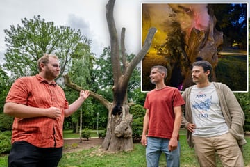 Chemnitz: Brandanschlag auf "Baum des Friedens" auf der Schlossteichinsel