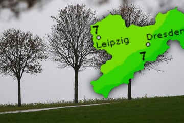 Nach erstem Schneefall: So mild wird es am Wochenende in Sachsen