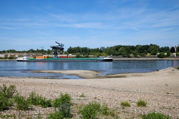 19-Jähriger wird von Rhein-Strömung mitgerissen: Zeugen versuchen vergeblich, ihn zu retten