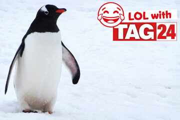 Joke of the Night for February 2, 2026: A chilly silly