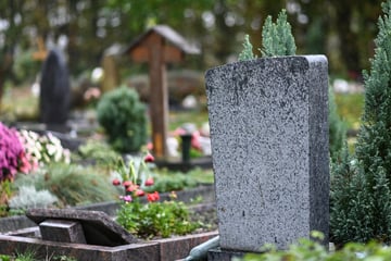 Friedhof verwüstet: Diebe plündern mehr als 150 Gräber und stehlen Urnen