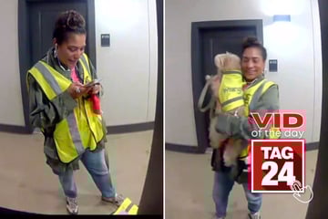 Viral Video of the Day for February 17, 2026: Trash collector's dog is gifted her own neon vest in adorable clip