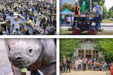 Feste und Musik: So wird Euer Samstag in Magdeburg unterhaltsam