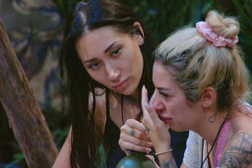 Plötzlich gesperrt: Warum vier Dschungelstars pausieren müssen