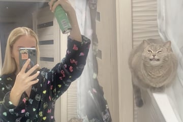 Blondine macht sich im Bad zurecht: Als sie die Reaktion ihrer Katze sieht, muss sie sofort filmen