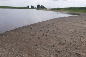 Spaziergänger entdeckt Knochen an der Elbe: Handelt es sich um Leichenteile?