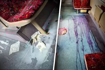 Der Horror in Straßenbahnen: MVB veröffentlicht Ekel-Video an Halloween