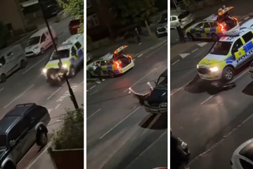 Schock-Video: Polizist überfährt verängstigtes Kalb – zweimal!