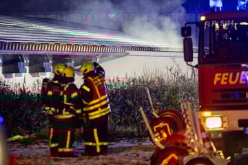 500 Schweine sterben bei Feuer in Südhessen: Polizei vermutet Brandstiftung