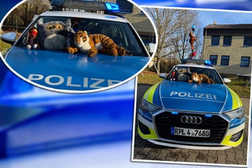 Kurioser Einsatz: Polizei rettet Plüschtier-Zoo von Autobahn
