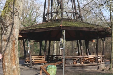 Vor Vernehmungs-Termin getötet: Neue Details im Mordfall der 19-jährigen Mannheimerin