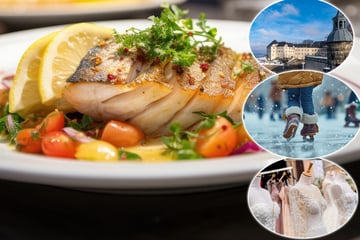 Dresden: 6 Tipps für einen tollen Samstag trotz Kälte!