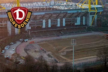 Dynamo Dresden-Blog: SGD-Profis spielen nicht im Signal Iduna Park