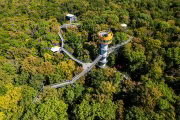 Mit KI den Nationalpark-Bewohnern auf der Spur