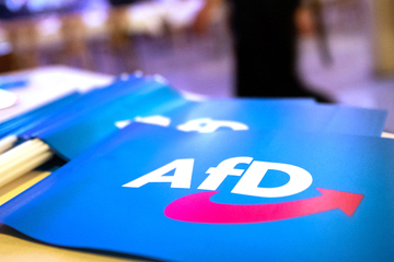 AfD-Logo auf Peitsche, Dreirad und Fallschirm: Dieser Fall beschäftigt das EU-Markenamt!