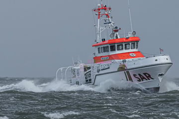 Traditionsschiff läuft auf Damm auf: Vier Segler und ein Hund gerettet