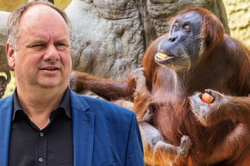 Es geht um 500.000 Euro: Hilberts Notspritze für den Zoo fällt im Ausschuss durch