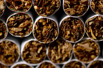 Steuerschaden geht in die Millionen: Drahtzieher von illegalen Kippen-Fabriken verurteilt