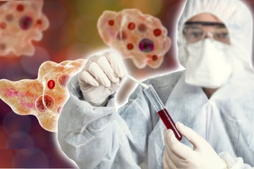 Schon 17 Tote: Horror-Erreger auf dem Vormarsch
