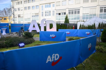 AfD obdachlos in Berlin? Partei schickt Mitarbeiter nach Räumungs-Rumms ins Homeoffice