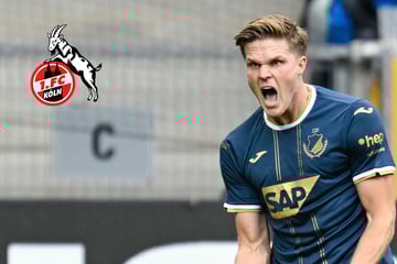 Vertrag unterzeichnet: FC Köln holt "hungrigen" Bülter aus Hoffenheim