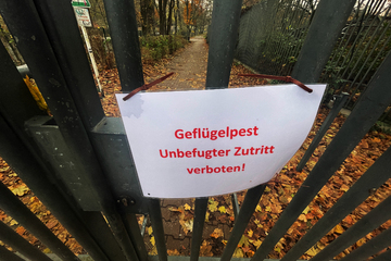 Berlin: Zoo Berlin will Tötung des Vogelbestands nach Virusbefall verhindern