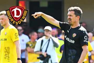 Das plant Dynamo-Trainer Stamm in dieser Woche